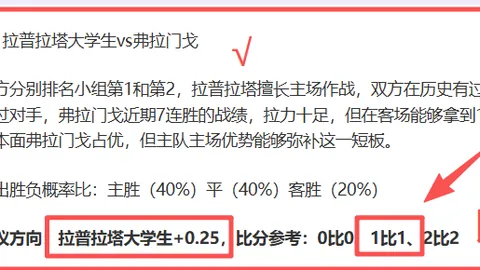 “未入选国家队阵容身价最高球员：约罗与恩瓦内里领先，众多法国国脚汇聚”